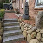Seestern In